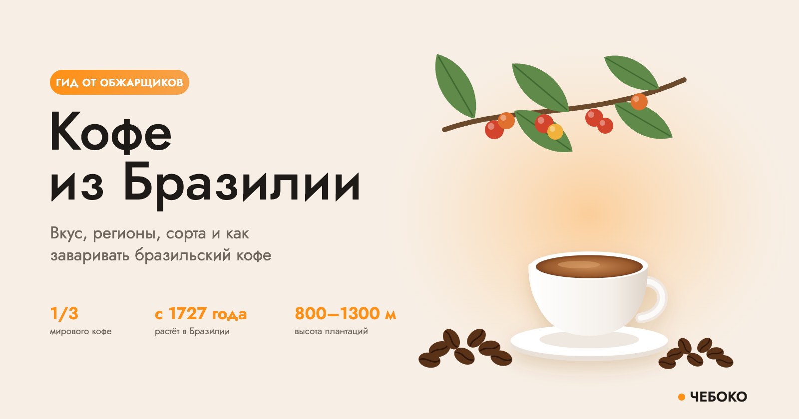 Кофе из Бразилии: ветка кофейного дерева с ягодами и чашка кофе