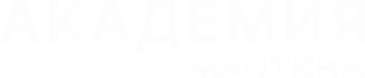 Академия Mantera