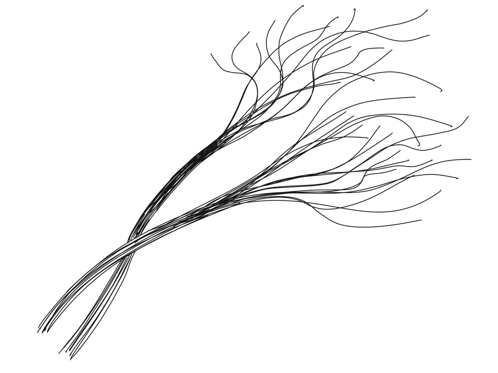 Chernobyl And The New Environmental Paradigm