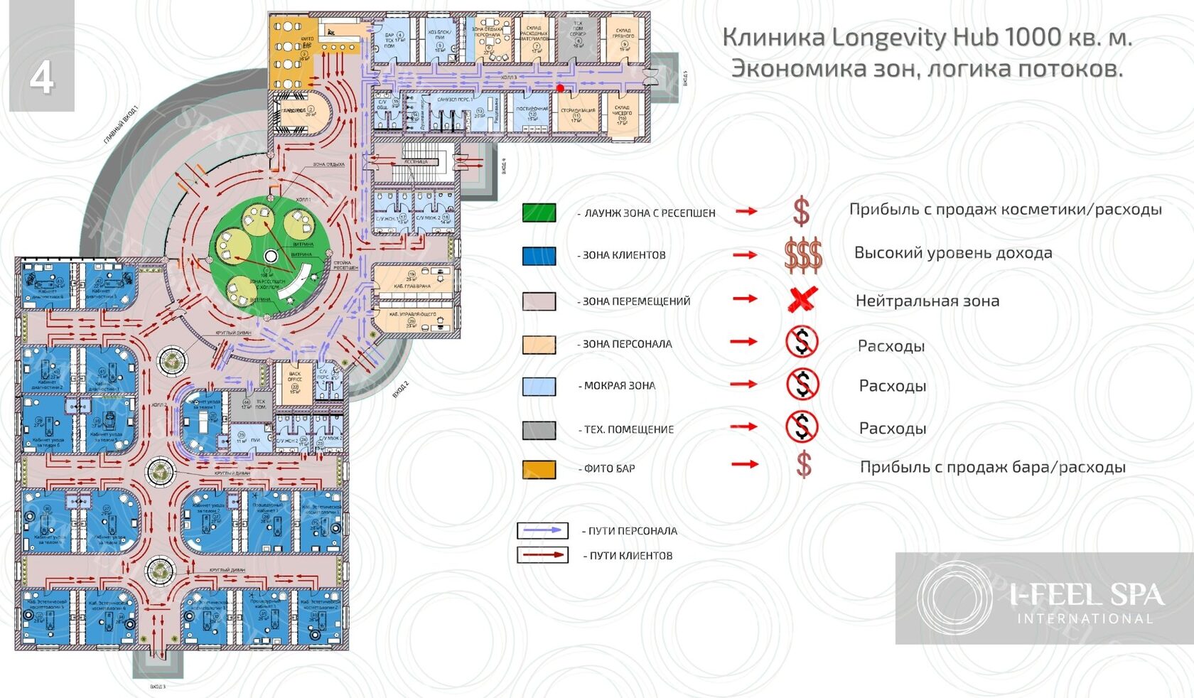Схема экономики зон и логики потоков клиники Longevity Hub 1000 кв. м