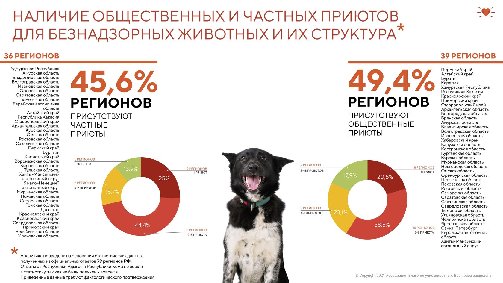 Статистика мониторинга численности безнадзорных животных