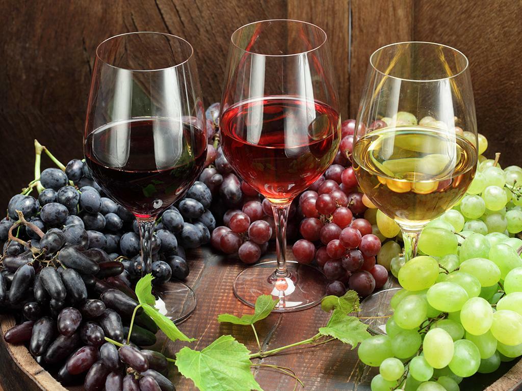 Priorat Vine Tasting Tour from Barcelona | Casamiga Events