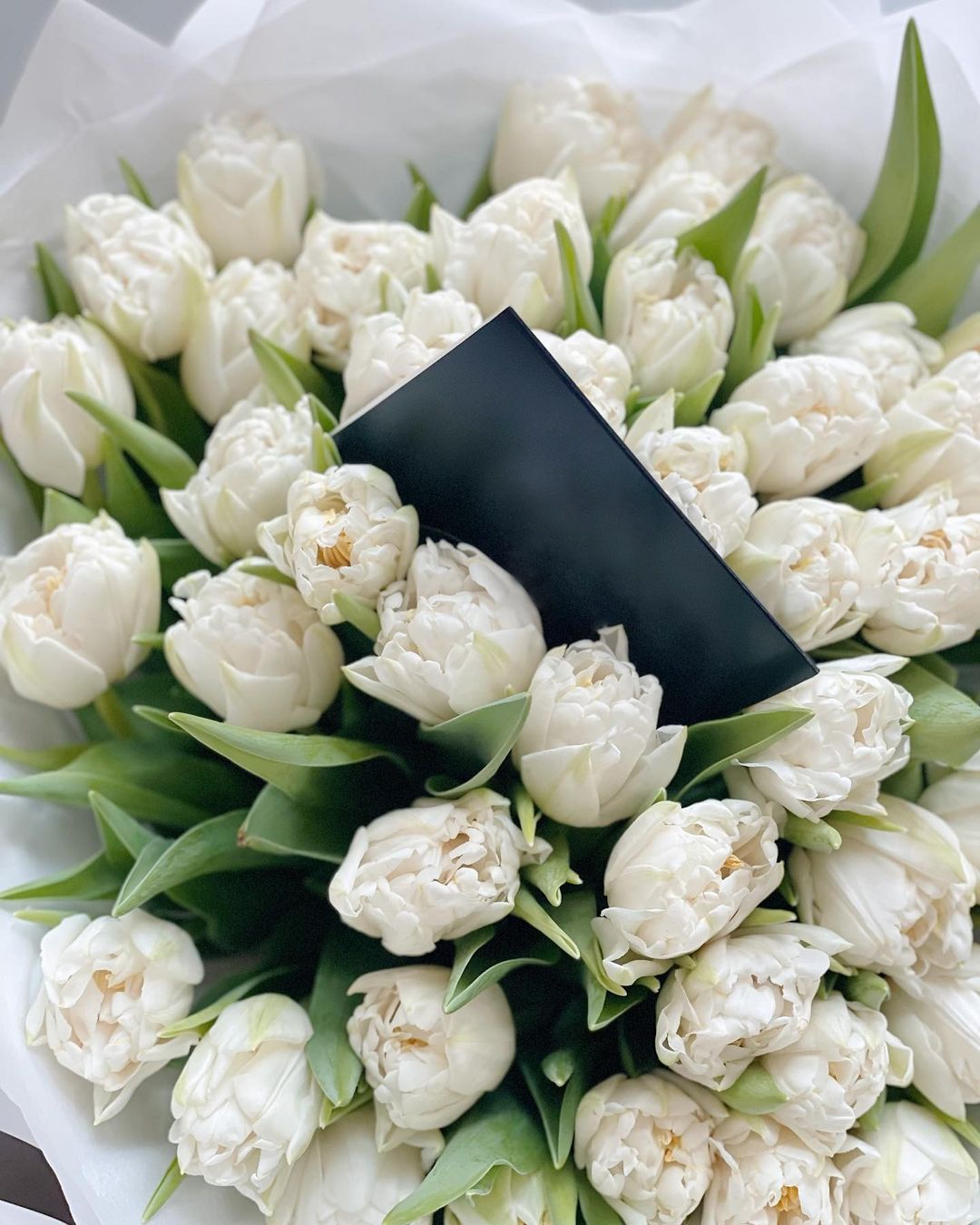 Пионовидные тюльпаны белые