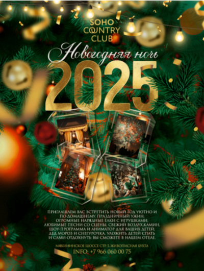 Новогодняя ночь 2025