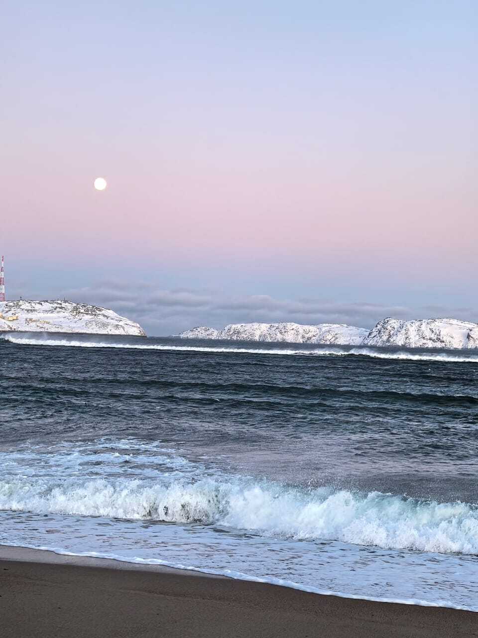 Киты в Мурманске когда можно увидеть