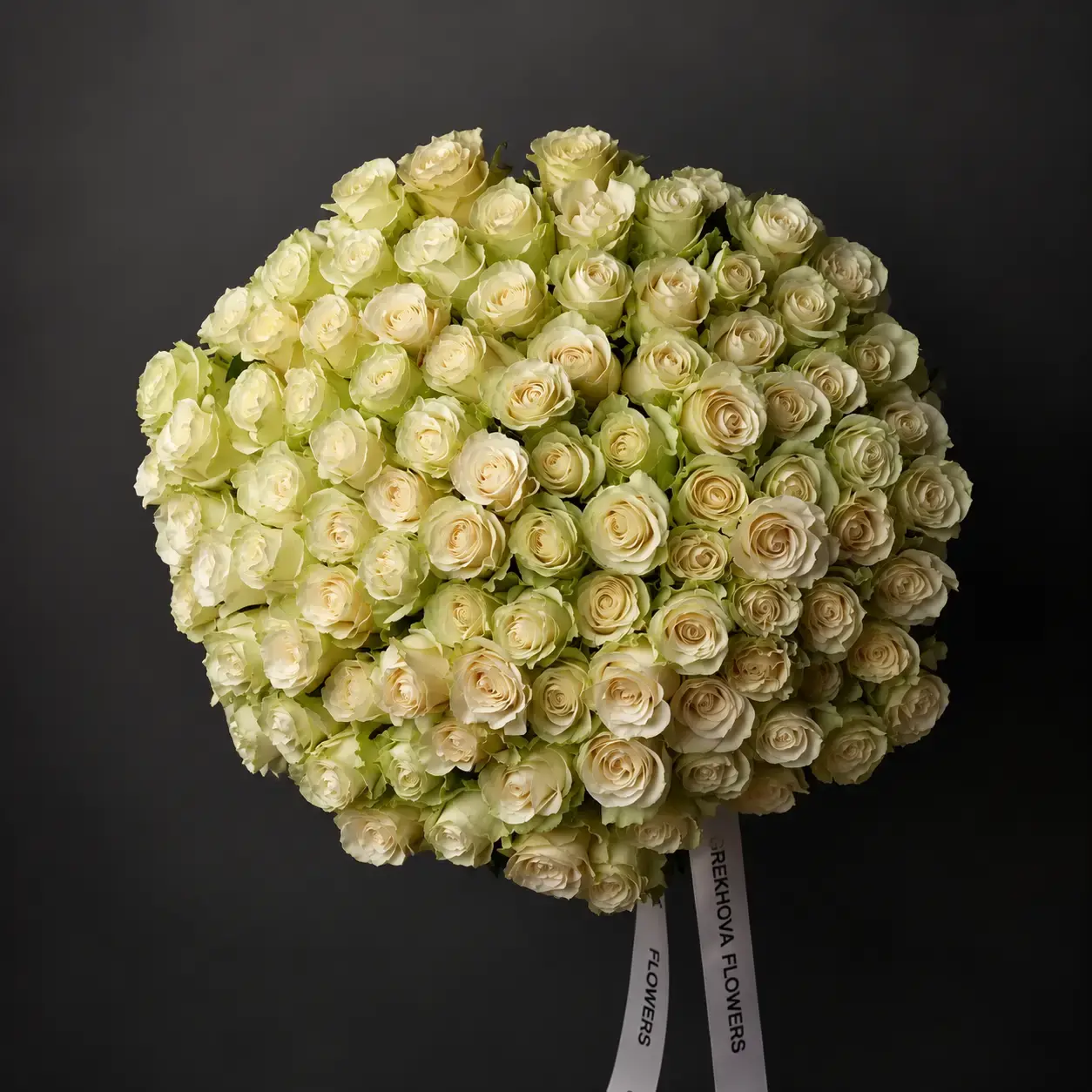 Премиальная роза Эквадор — GREKHOVA FLOWERS