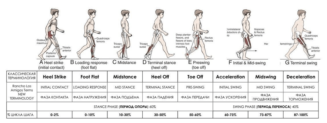 Тренажер для стабилизации и тренировки стопы Качай.нога