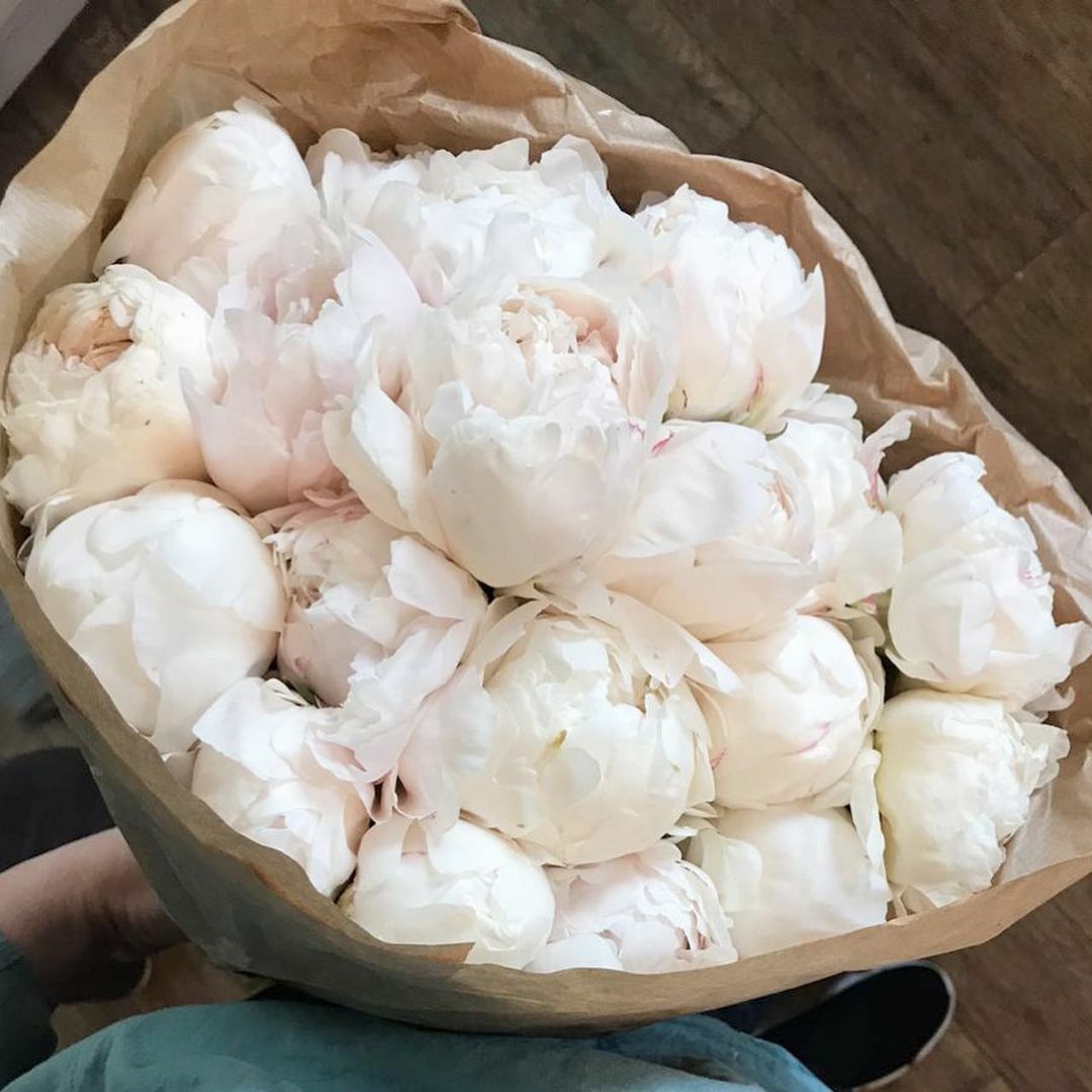 что пожелать тебе - нежность и аромат пионов