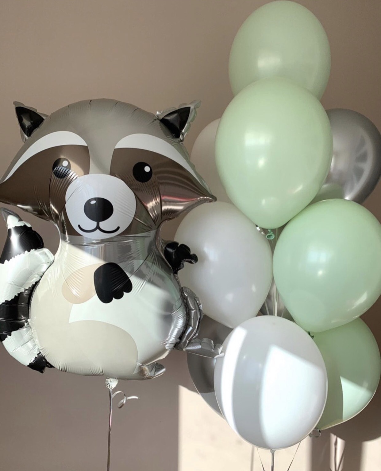 Оливковый енот