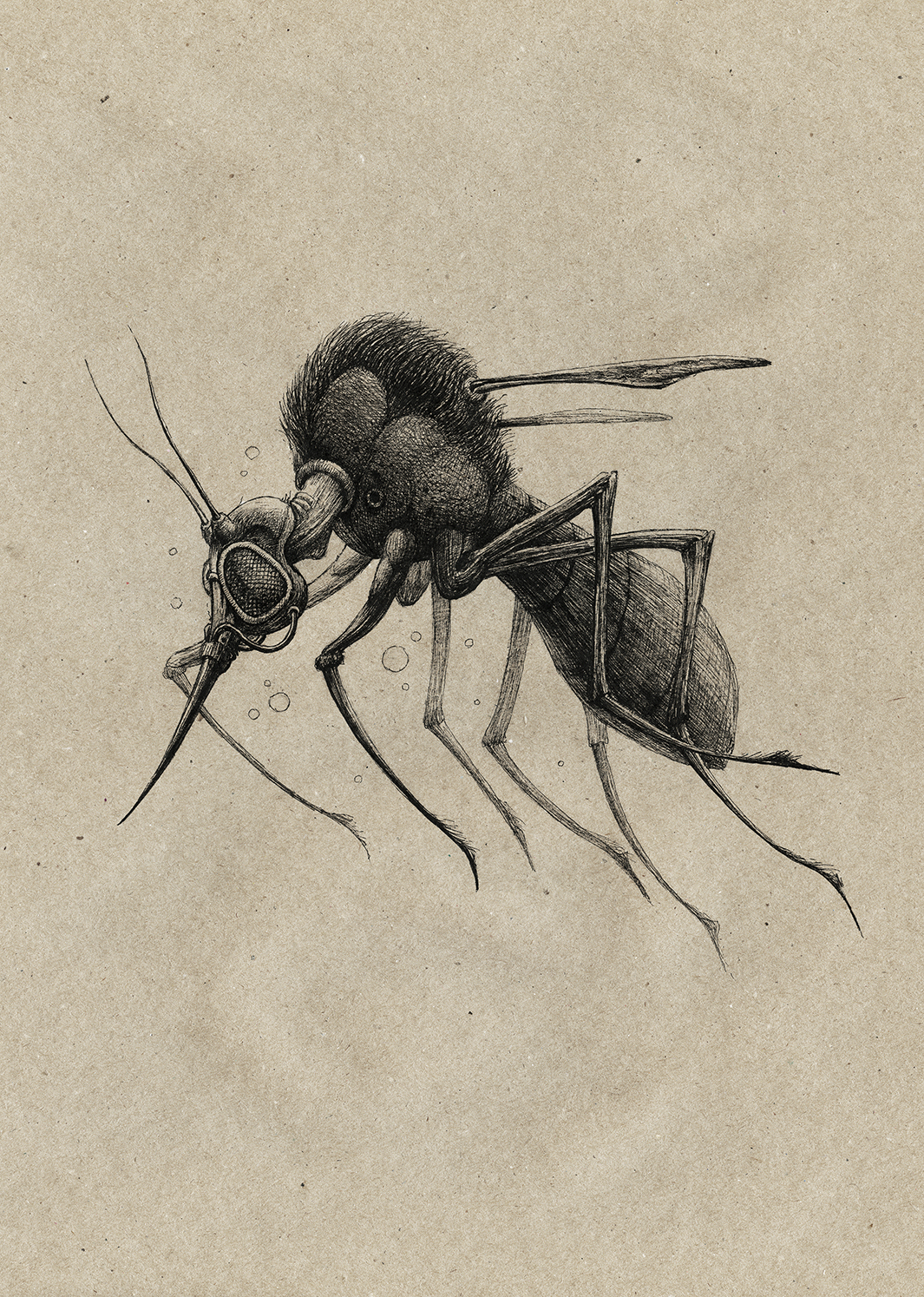 Жизнь насекомых тел. Пелевин в. "жизнь насекомых". Пелевин насекомые. Жизнь насекомых. Жизнь насекомых Пелевин иллюстрации.