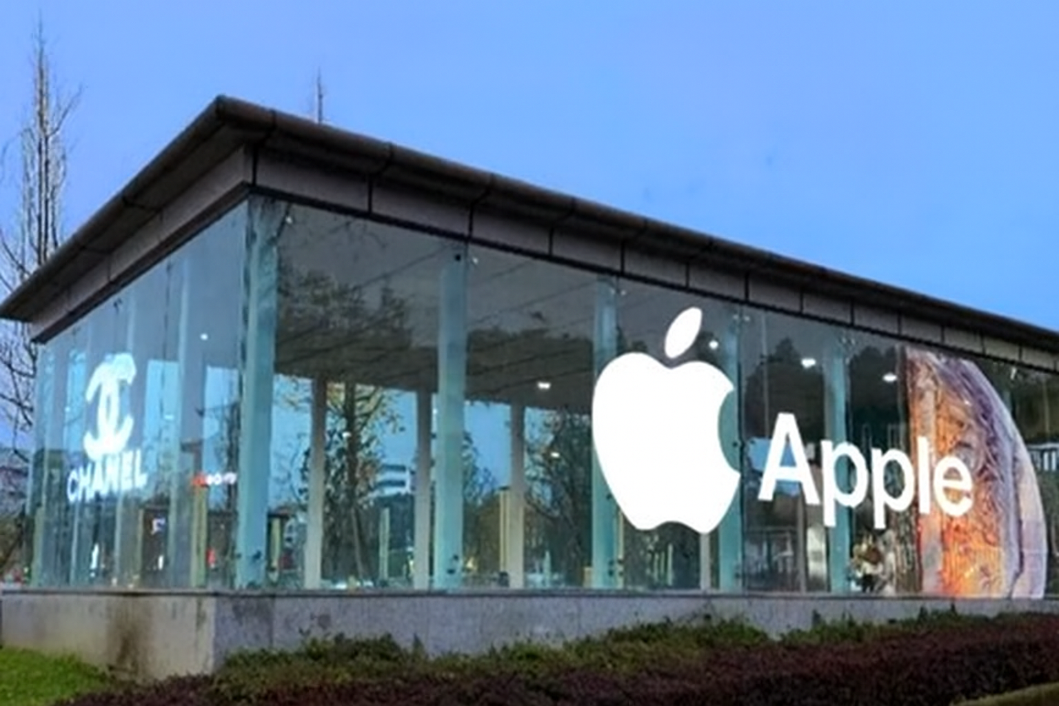 светодиодная плёнка на стеклянной витрине магазина 