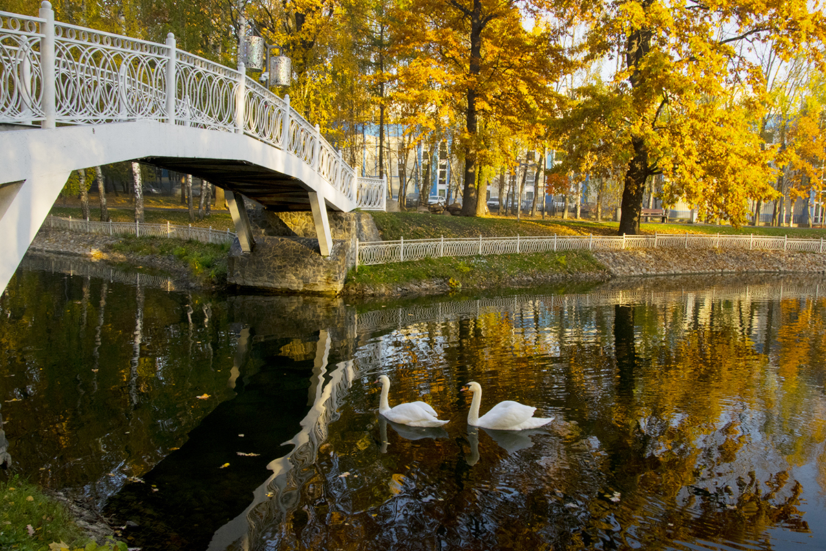 Фото парка лианозово