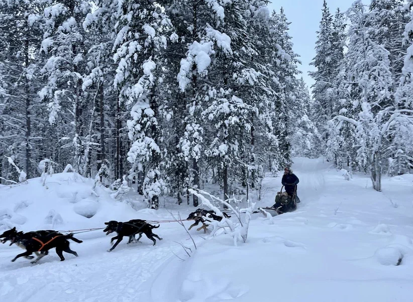 Северные туры Мурманск