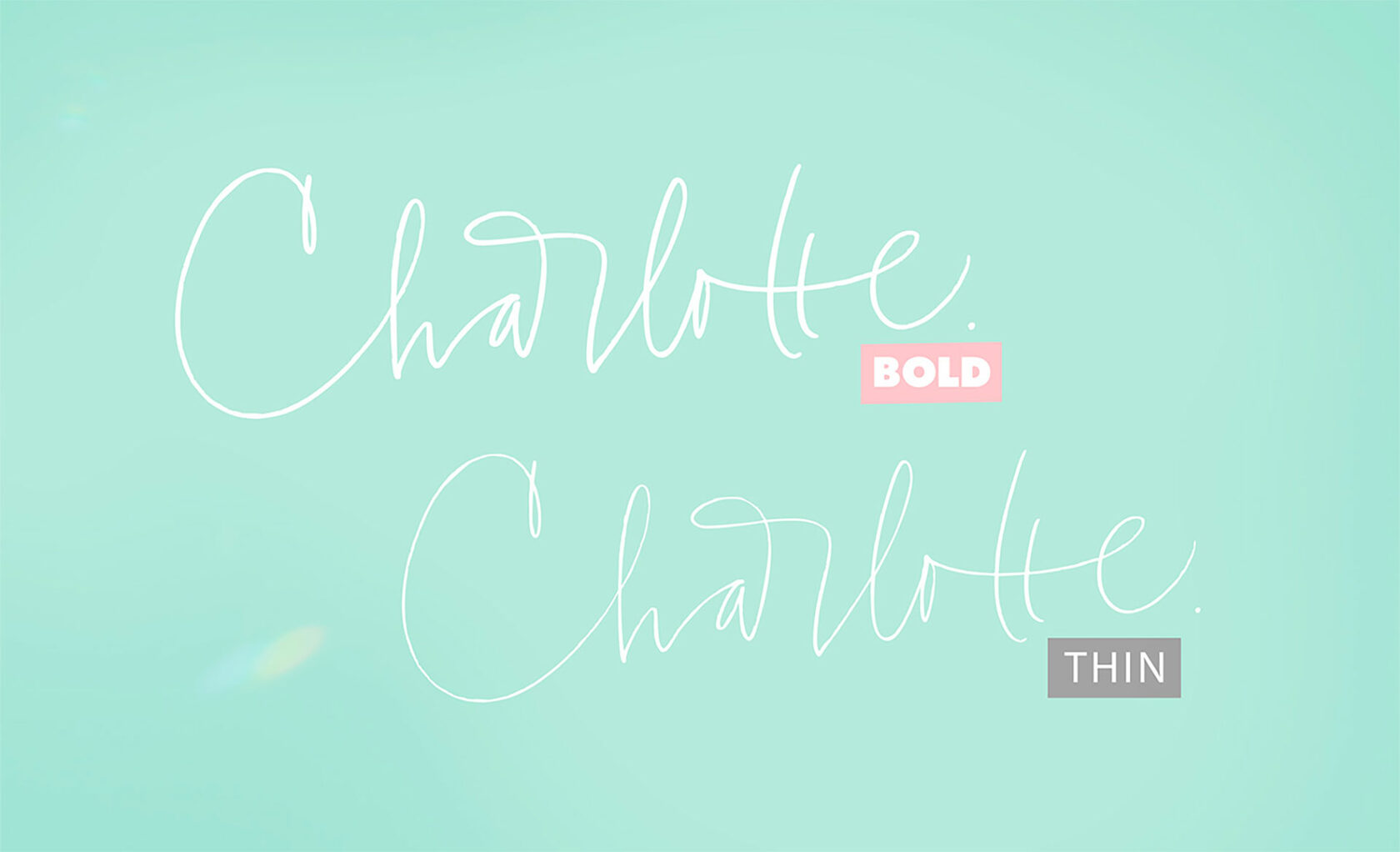 Charlotte Font| Script Fonts - Blessed Print