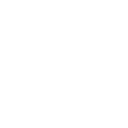 Портретная экспертиза