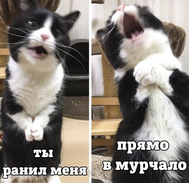 как просить подарки