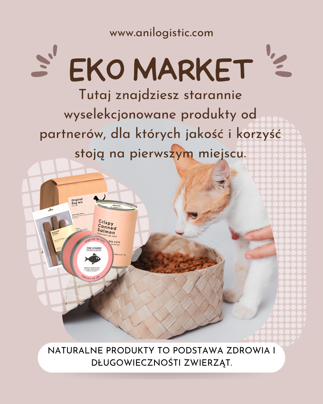 Miska z naturalną suchą karmą dla zwierząt, otoczona świeżymi składnikami — łososiem, kurczakiem, warzywami i ziołami — symbolizuje zdrowe żywienie psów i kotów.