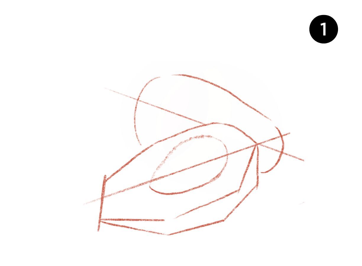 how to draw avocado