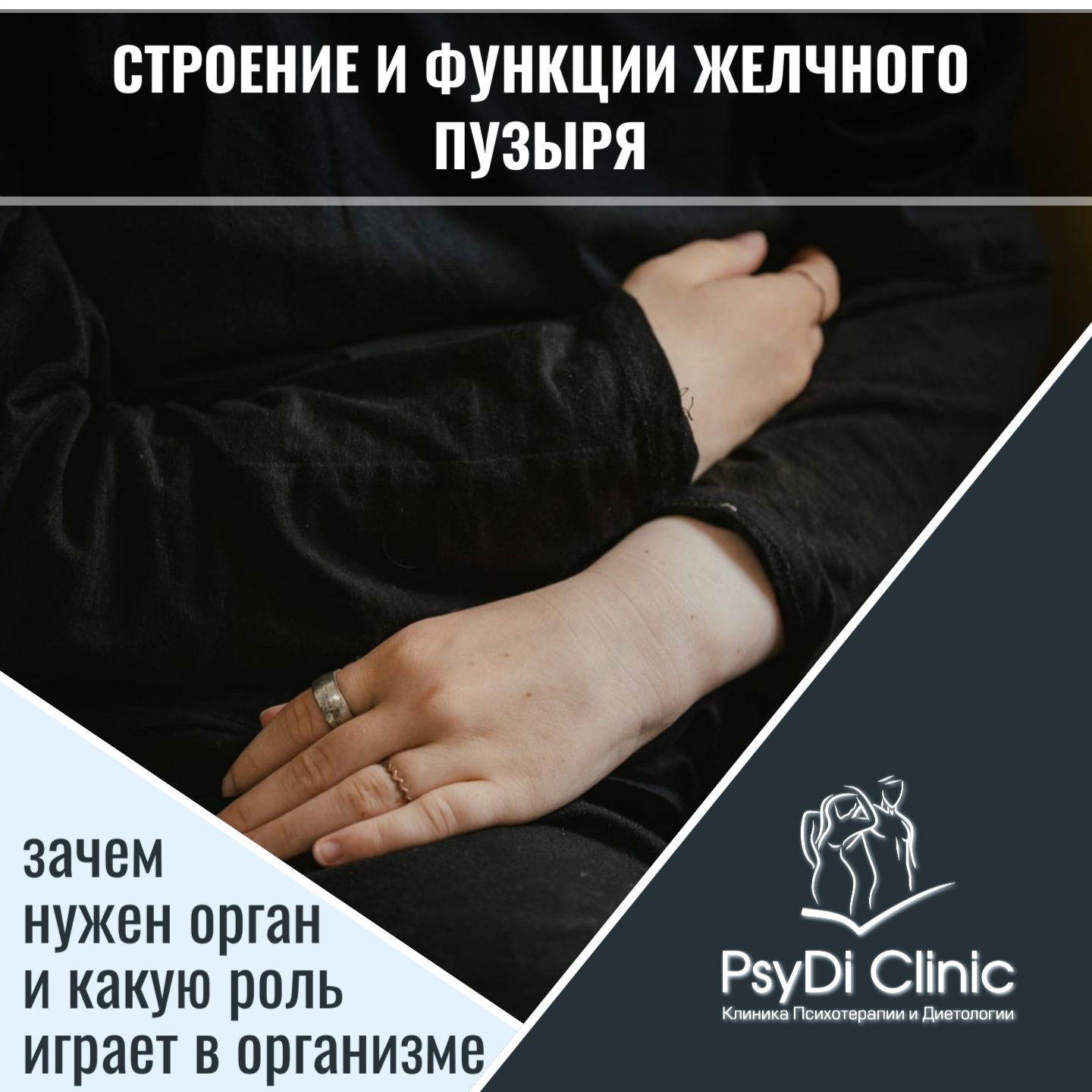 Строение и функции желчного пузыря: зачем нужен орган и какую роль играет в организме ��