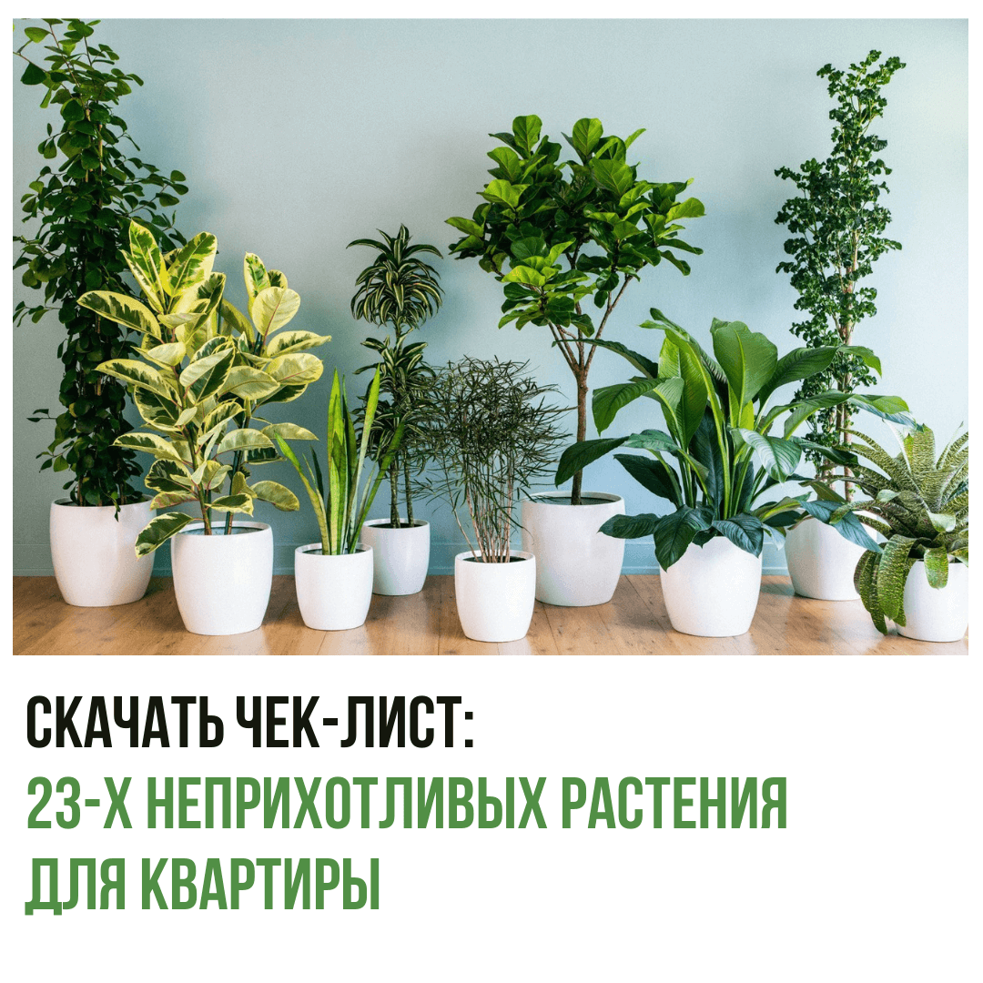 SLKSW-1307-I