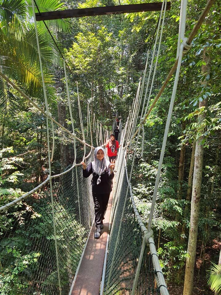 Canopy Walkway в Руанде