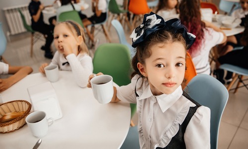 Один день в Schoolberry