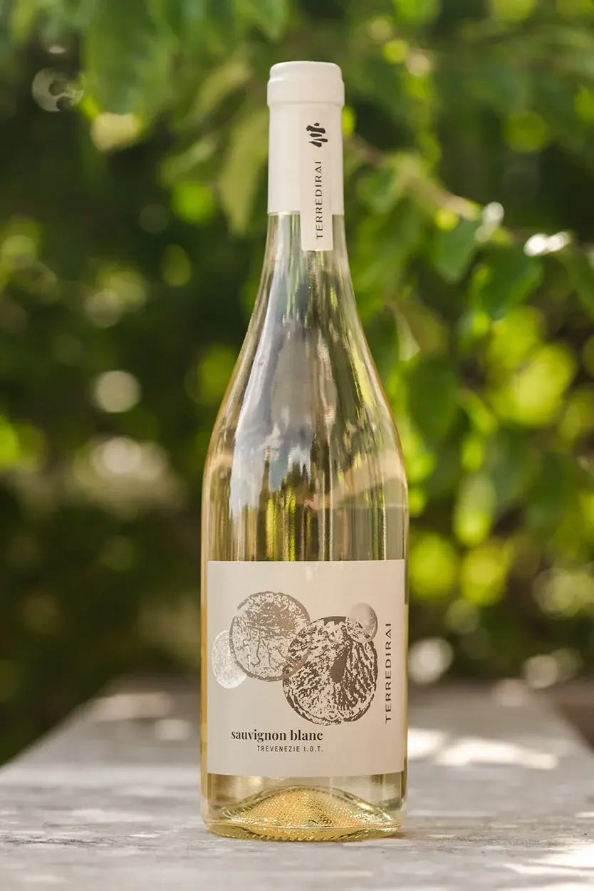 Лицевая этикетка вин Старого Света