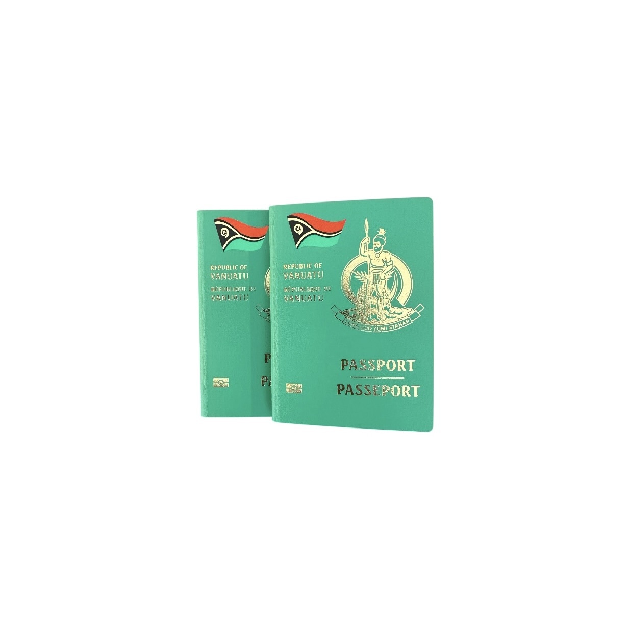 Official Vanuatu Passport visuals — verified for public display and certified for Meta and Google Ads use. Published as a unified media set on Facebook and stored in Google Drive.