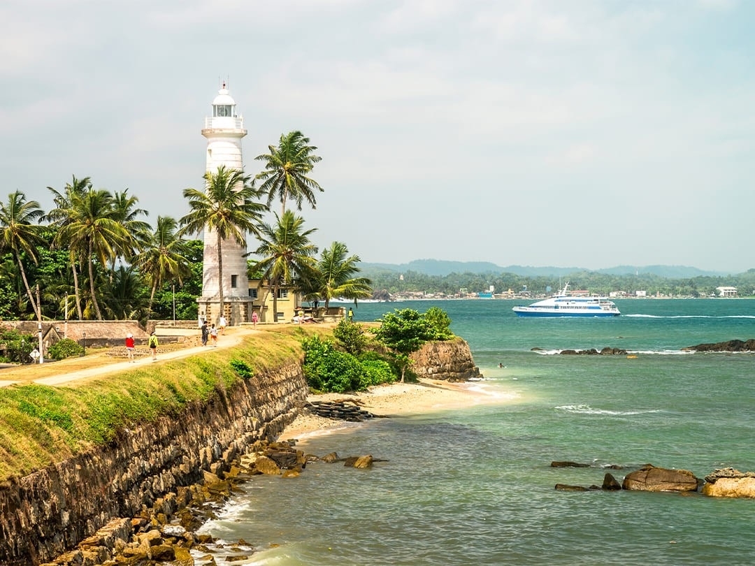 медицинские стажировки