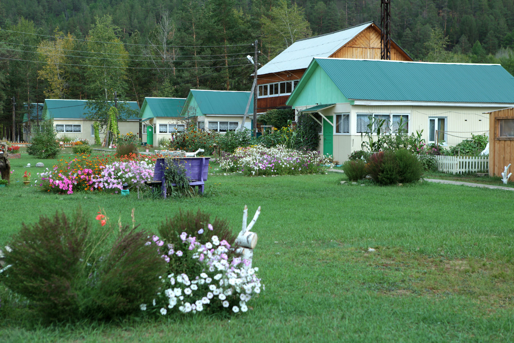 курорт алла курумканский район