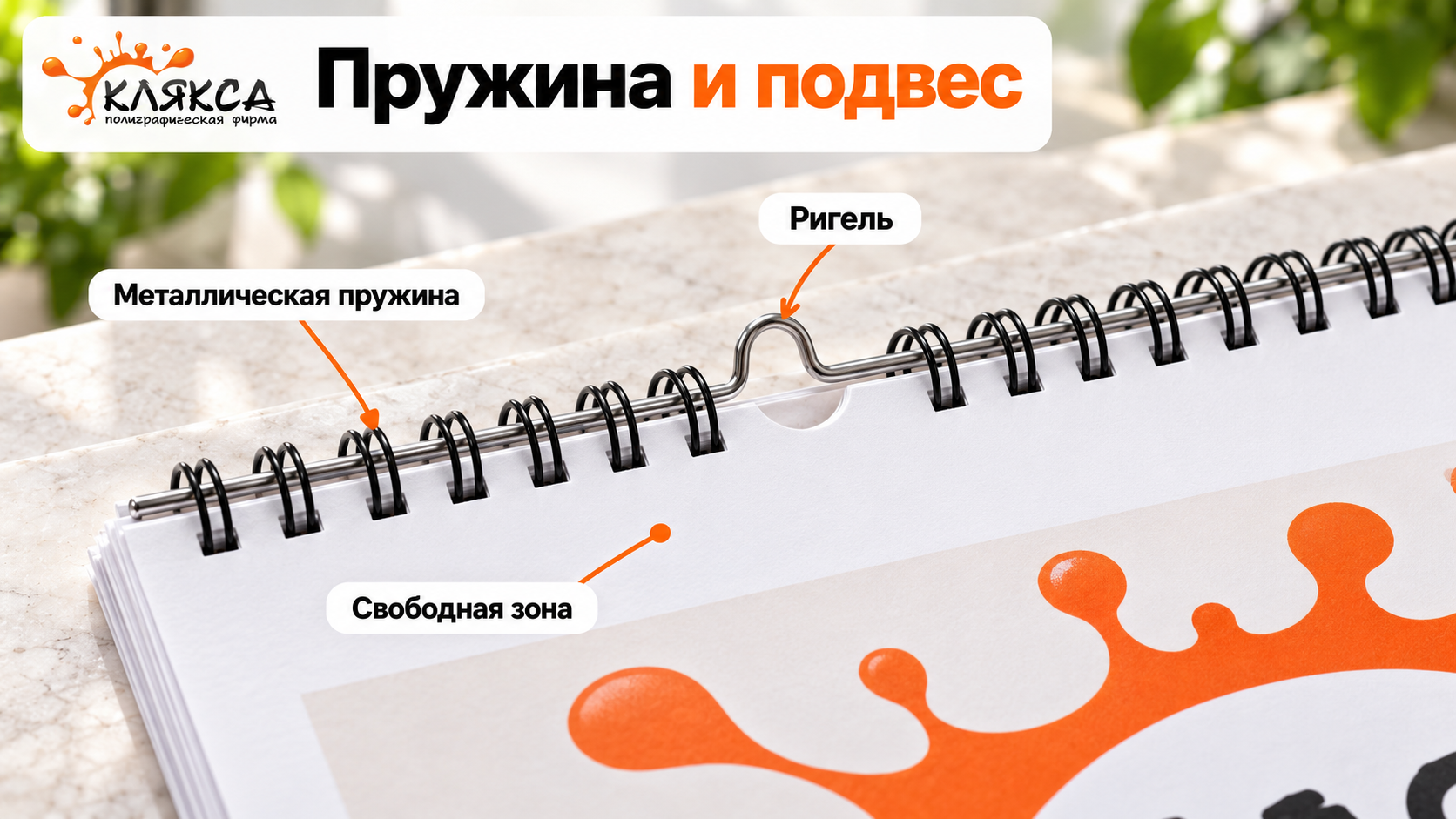 Металлическая пружина, ригель и свободная зона у крепления настенного календаря А3