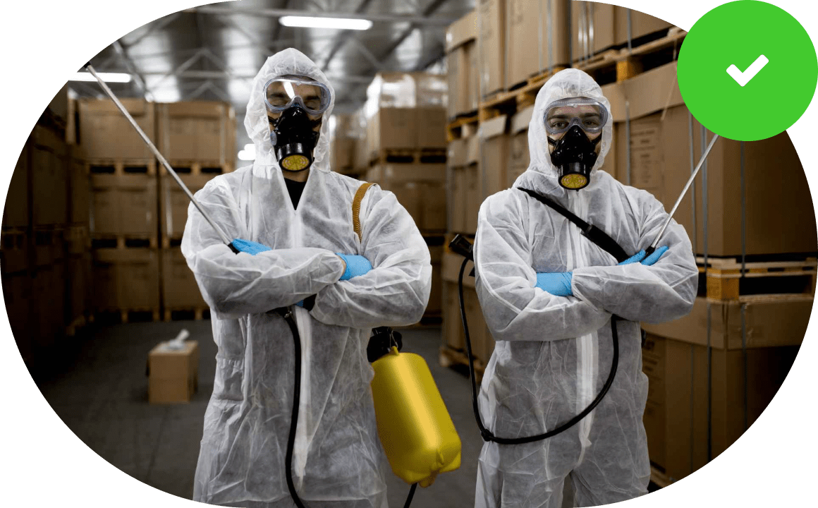 Профессиональные услуги по дезинсекции, дератизации и дезинфекции