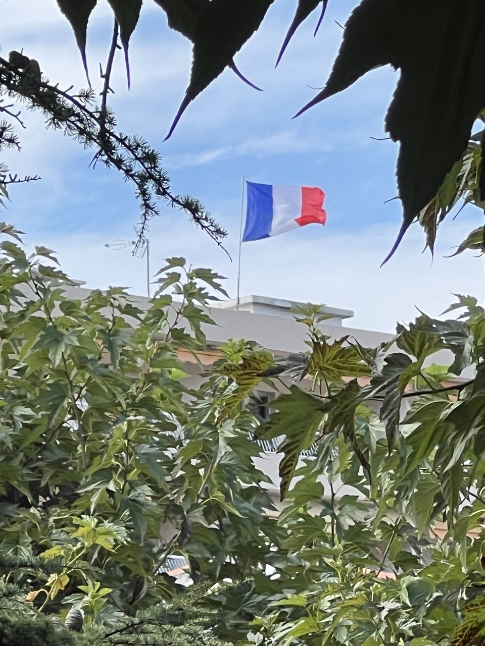 Французский паспорт и путешествия внутри страны: парадокс туризма