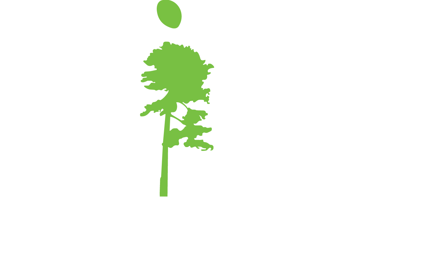 Логотип: Загородный отель Pine River