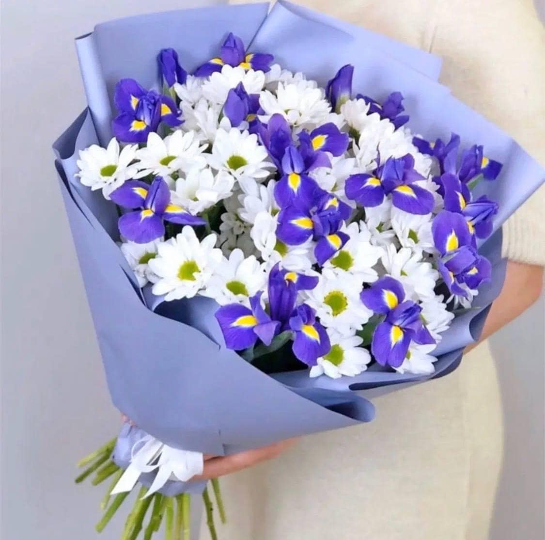 Букет цветов из ирисов и кустовой хризантемы с доставкой в Нижнем Новгороде. Доставка цветов