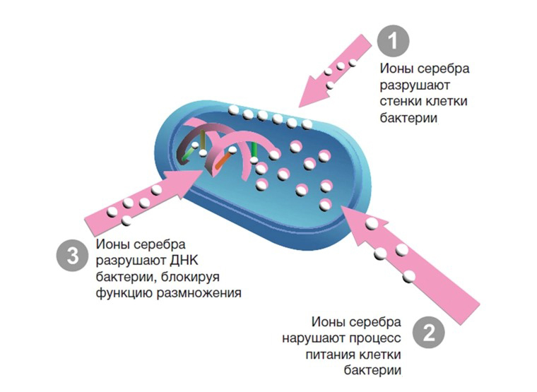 Действие серебра. Ионы серебра. Серебро против бактерий. Ионы серебра бактерия. Ионы серебра против бактерий.