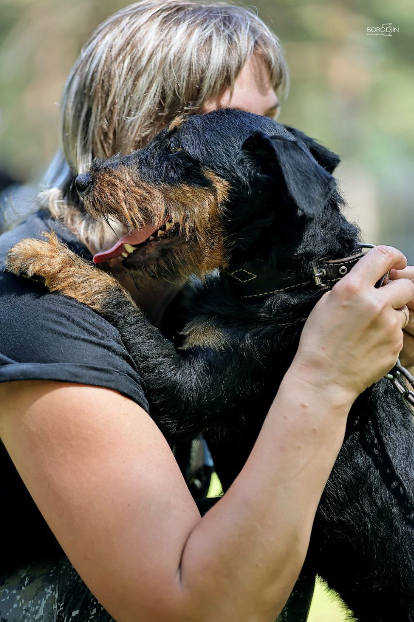 Тактильный контакт