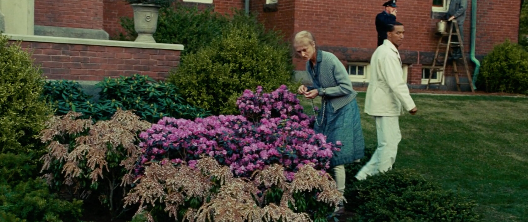 Остров Проклятых Общий план