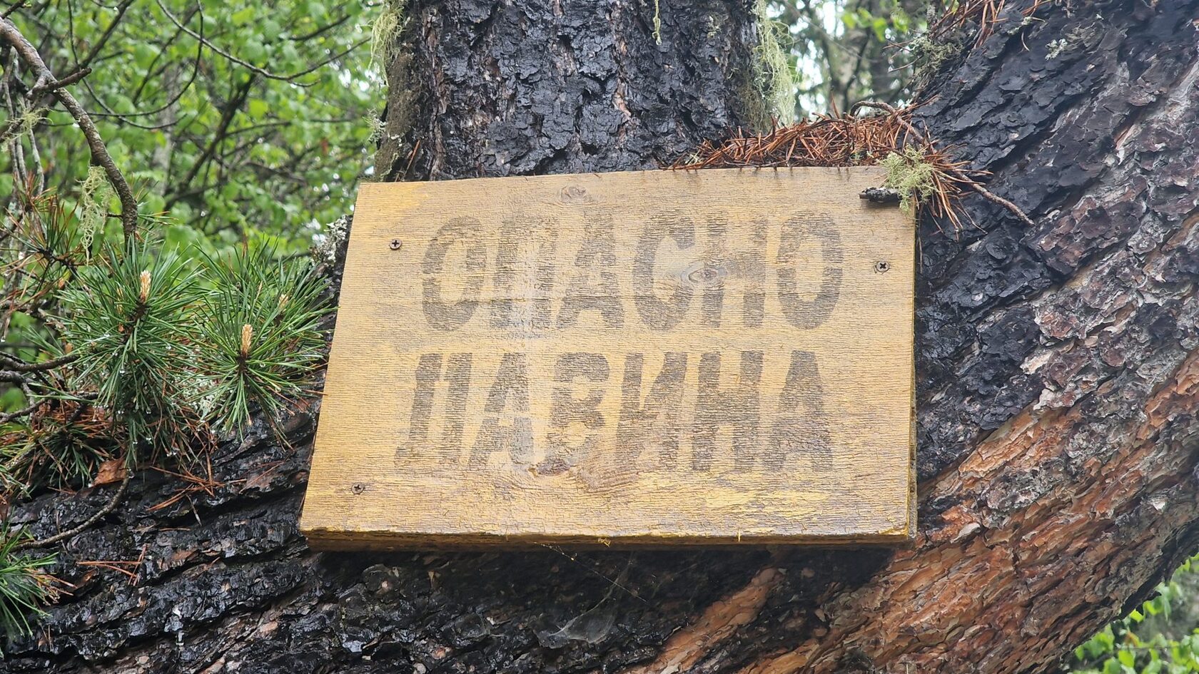 Махар