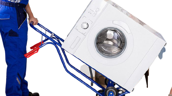 Вывезем сами