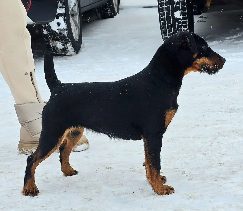 Достаточный наклон пясти