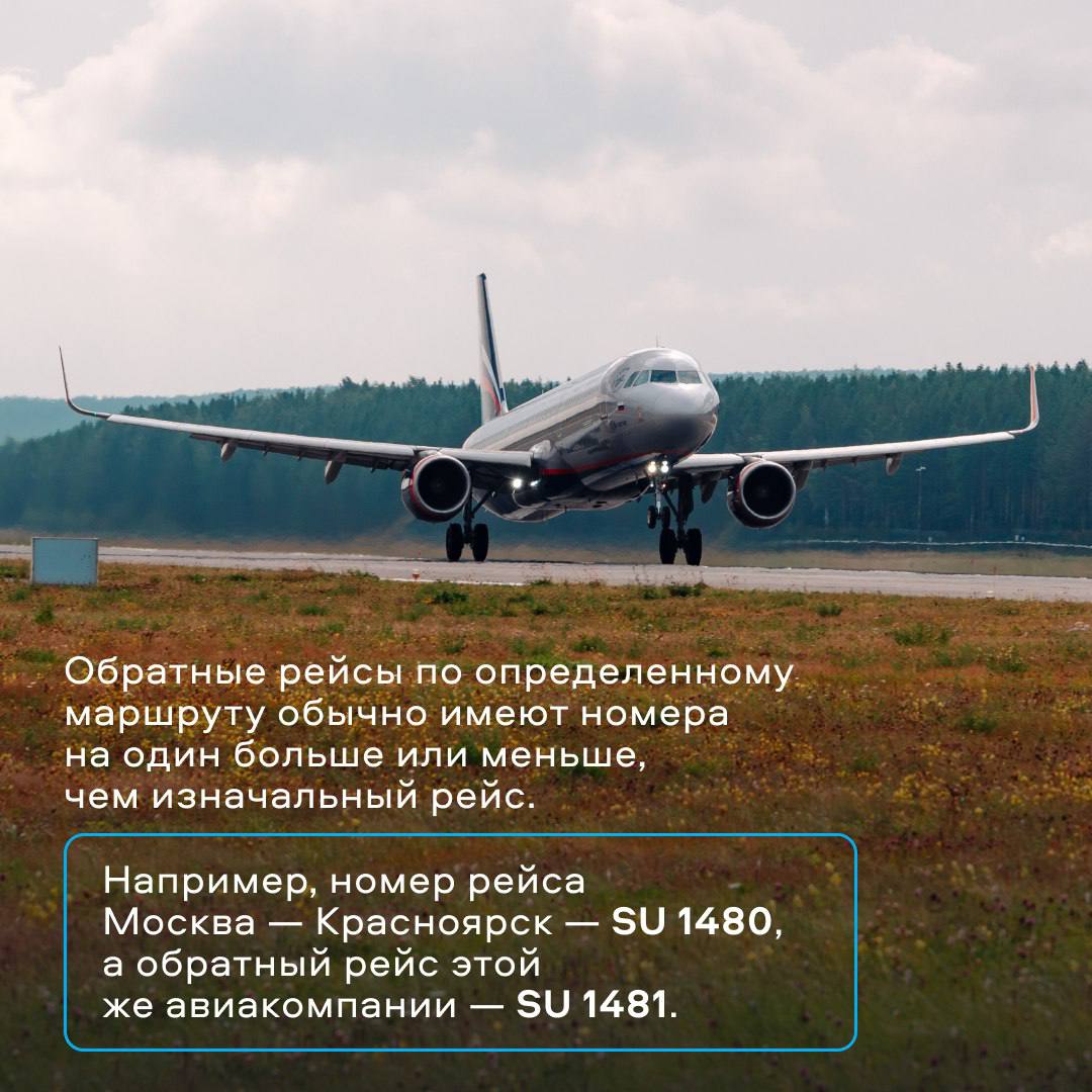 Номера рейсов авиакомпаний. Su 1480. Номера рейсов аэрофлота. Номер рейса самолета пример. Бортовой номер рейса.