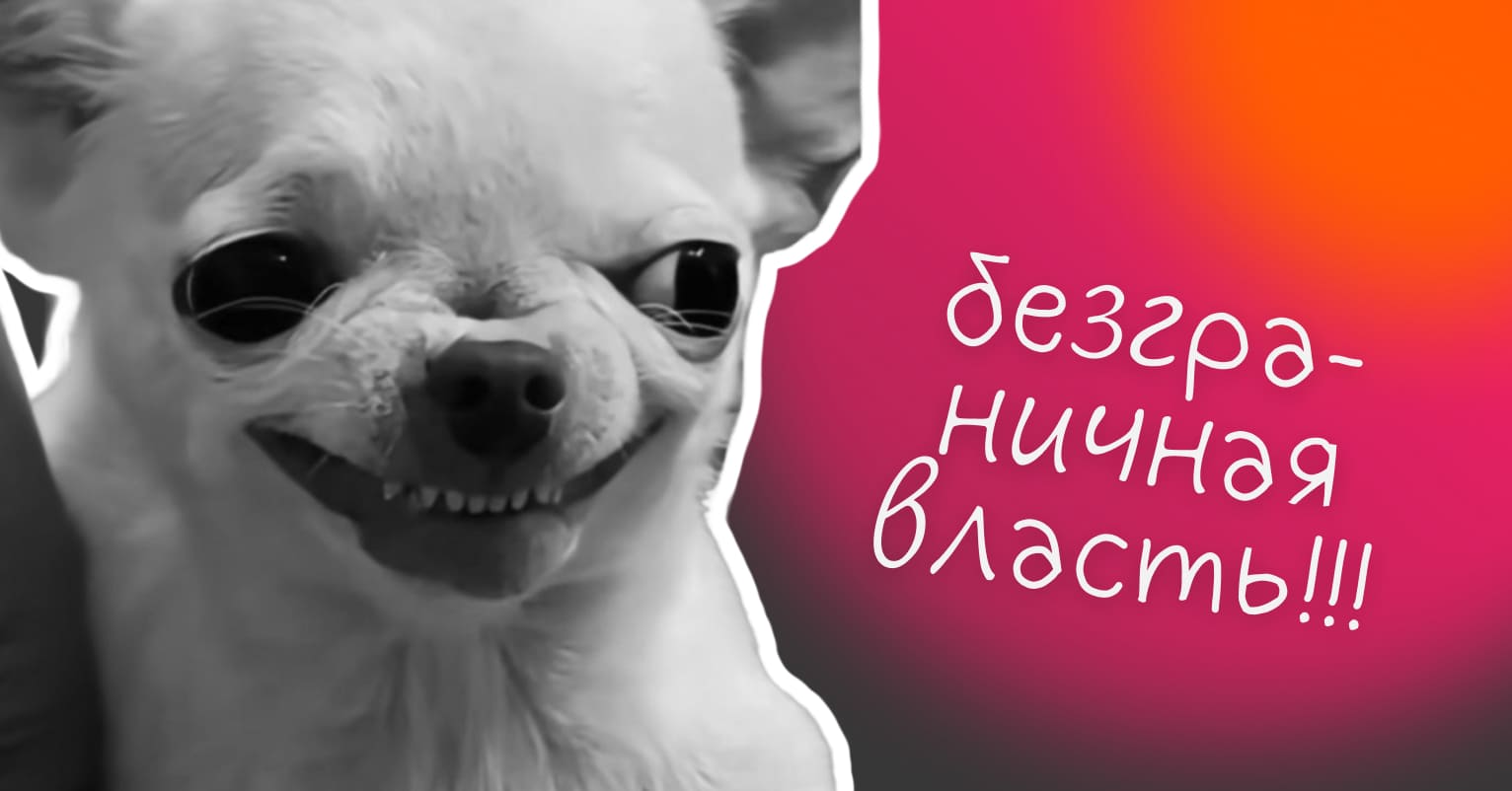 Как работают площадки сейчас - Достависта Блог