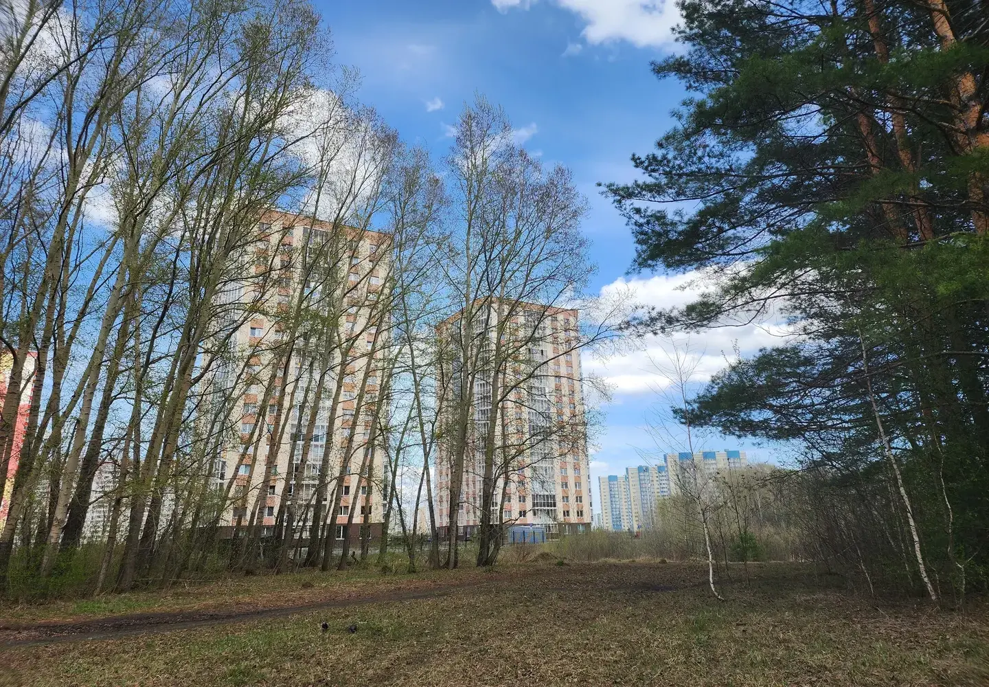 квартира рядом с лесом