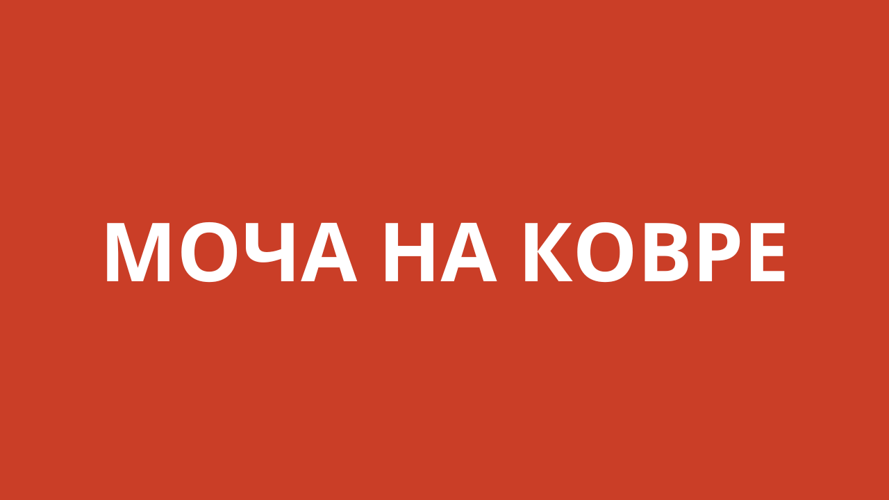 Ковер моча