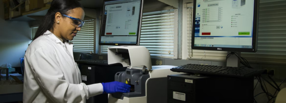 Technische Unterstützung flp