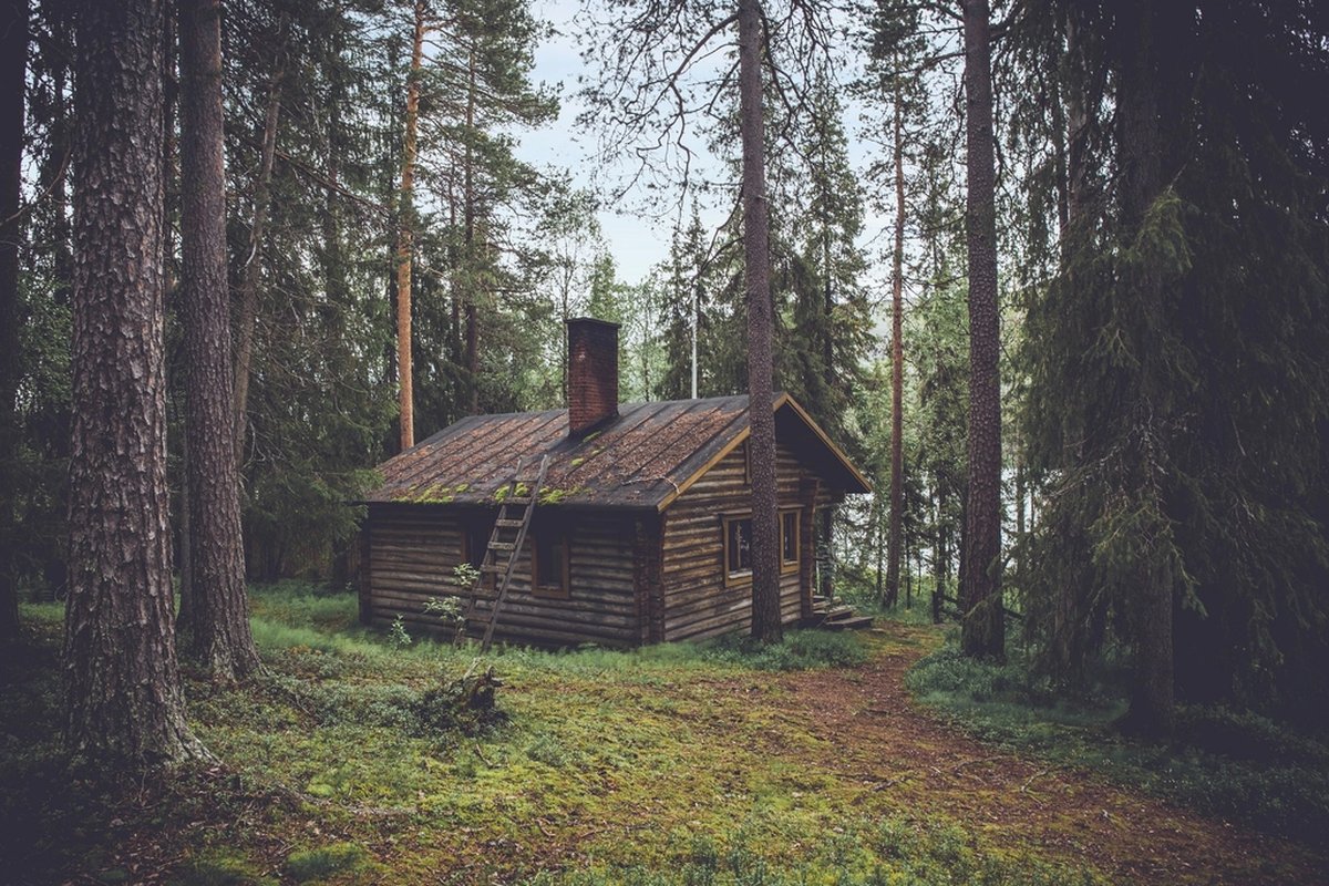 День рождения за городом: cottage forest;wooden house