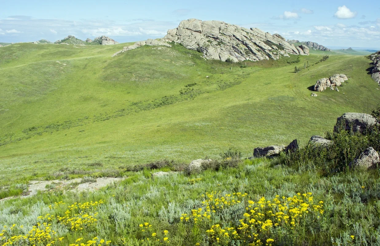 Фото даурского заповедника