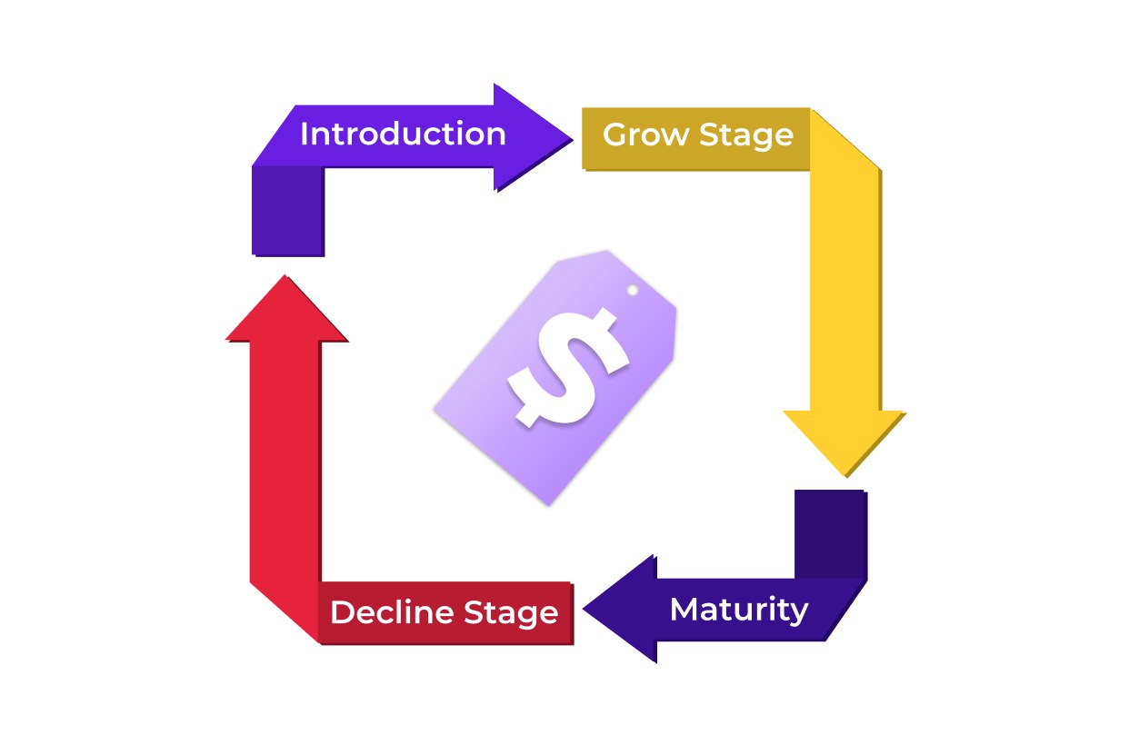 life-cycle-pricing-definition-stages-strategy-priceva