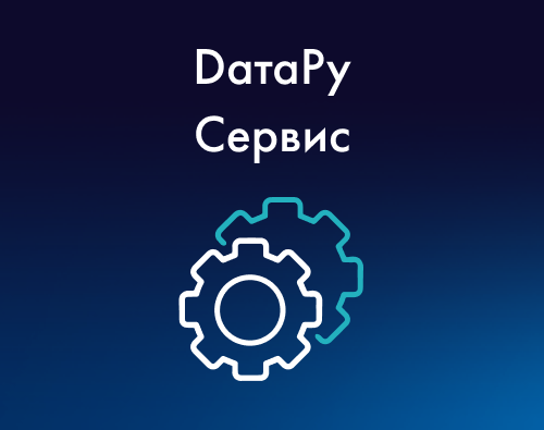 DатаРу Сервис: оптимизация и цифровизация бизнес-процессов
